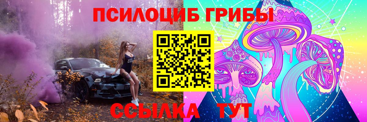 Псилоцибиновые грибы Psilocybe Георгиевск