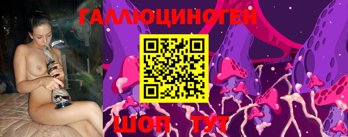 Георгиевск  Псилоцибиновые грибы мухоморы  Вход с VPN 